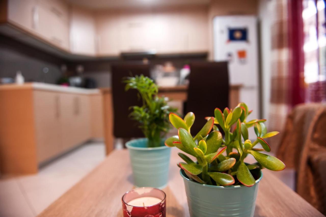 City House Apartment 塞萨洛尼基 外观 照片